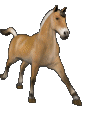 paard